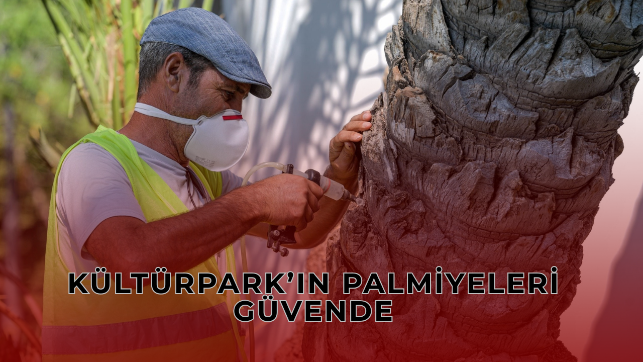 Kültürpark’taki Palmiyeleri Yapay Zeka Kurtardı