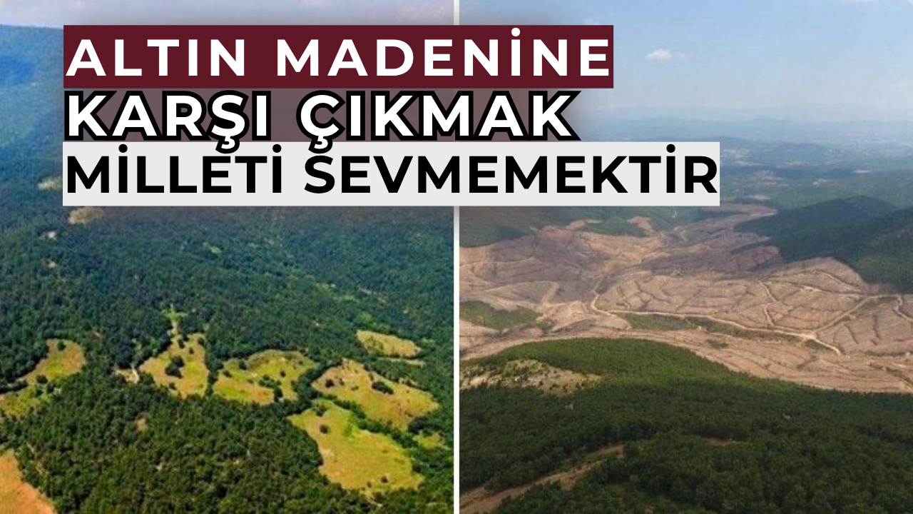 Siyanür ile altın aranmaz