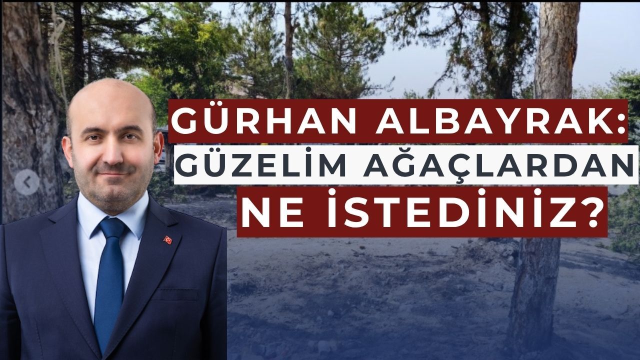 Gürhan Albayrak'tan Çifteler Belediyesine eleştiri