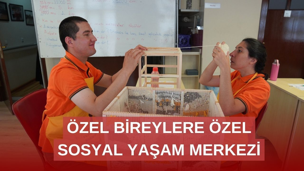 Engelli bireylere ve alzheimer hastalarına egzersizler