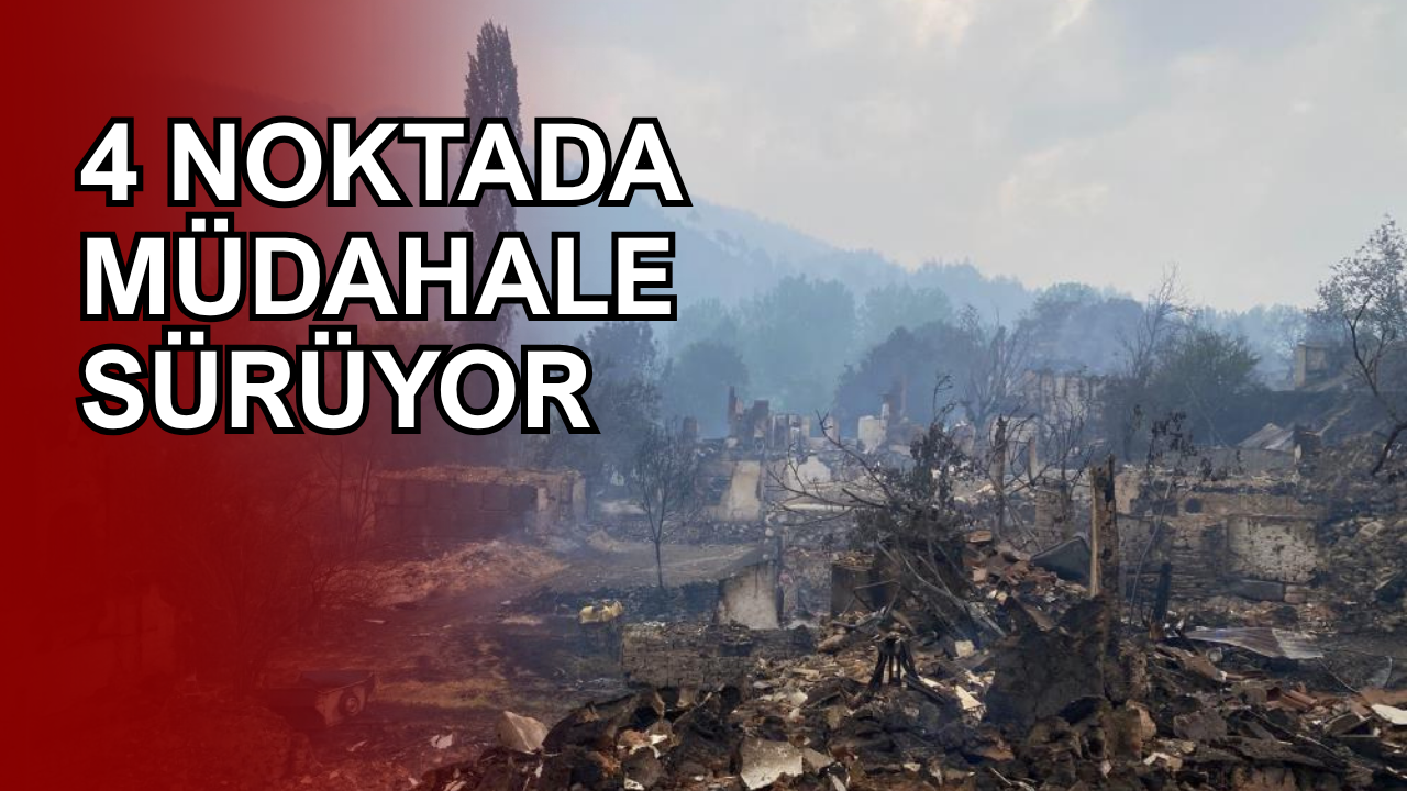 Son 3 Günde 263 Orman Yangını