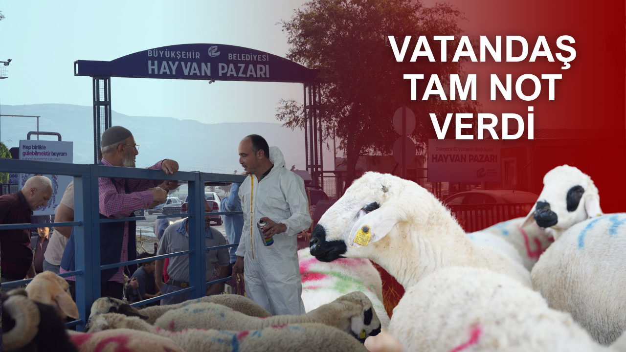 Büyükşehir Hayvan Pazarı’nda İlk Kez Kesim Hizmeti Sunuldu