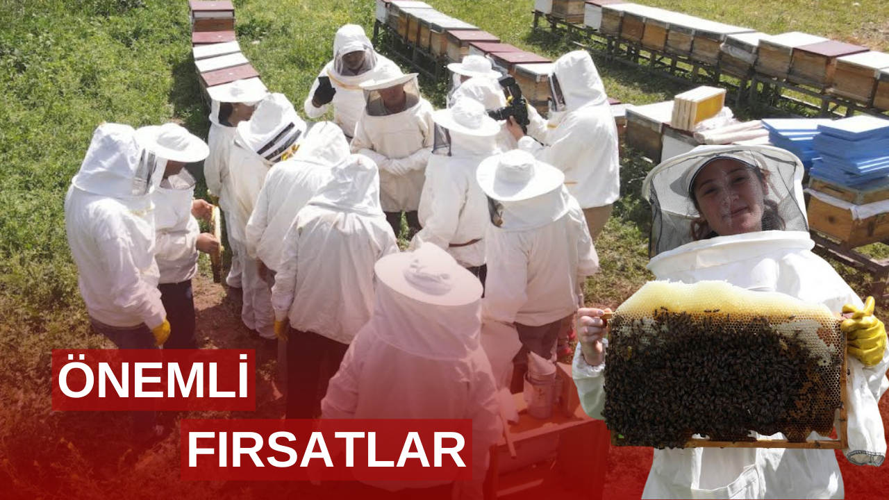 Arıköy kayıtları başlıyor