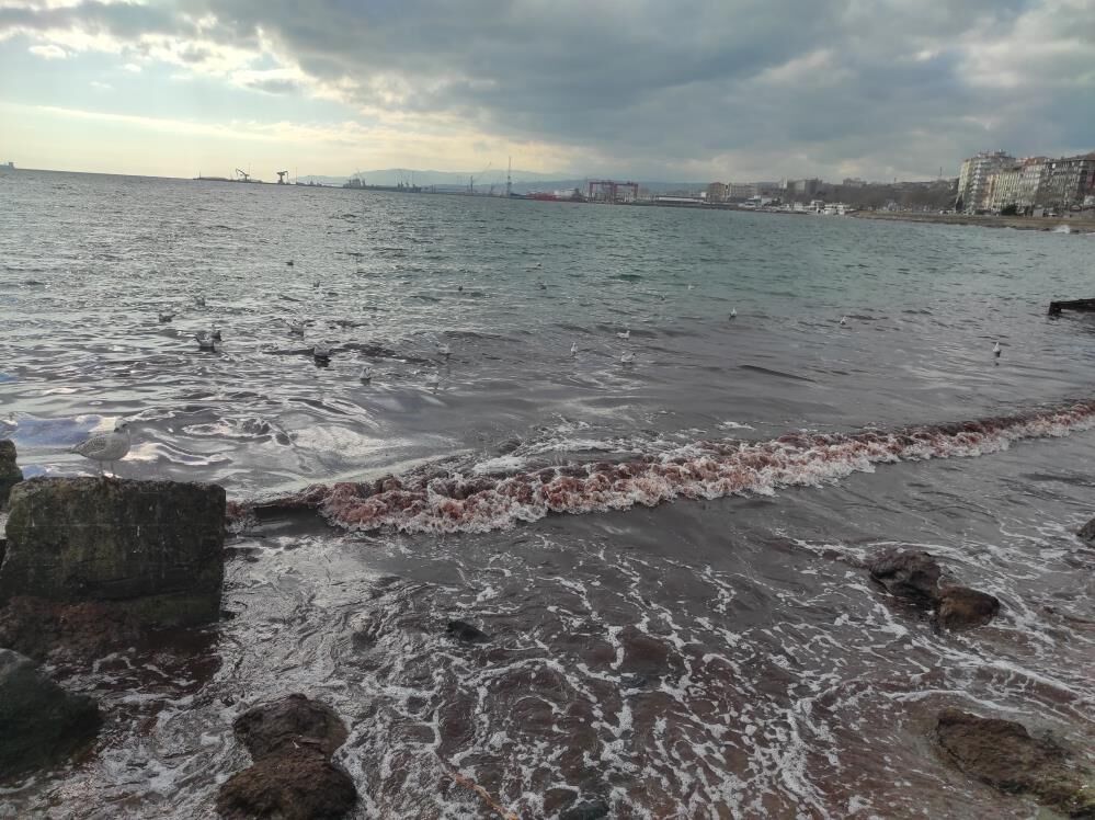 Poyraz fırtınası Marmara Denizi'nin kıyılarını kızıl renge boyadı