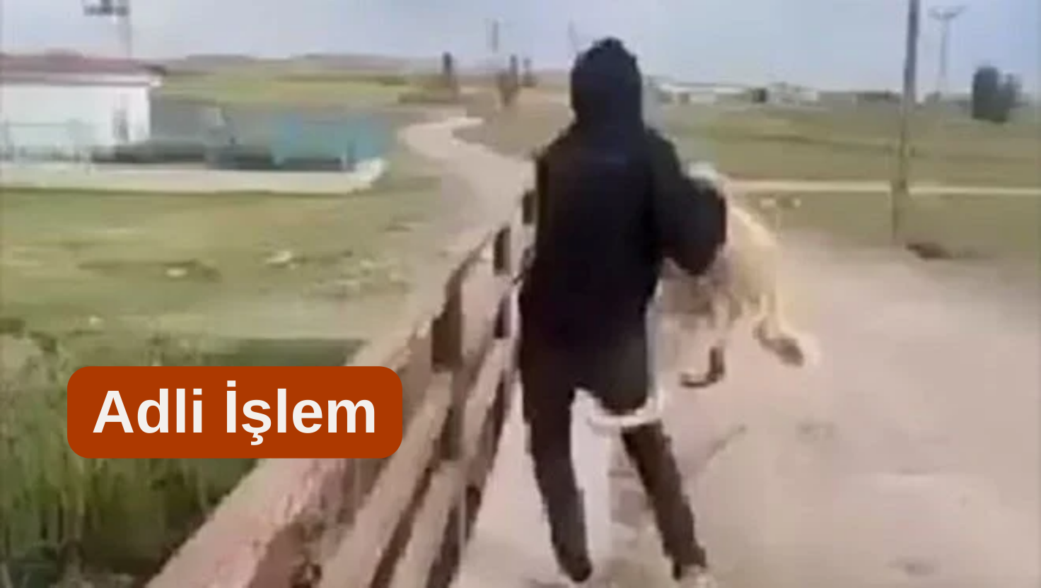 Köpeği suya atan şahıs yakalandı