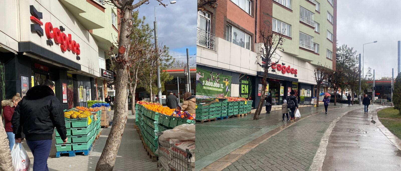 Büyükşehir olaya el koydu