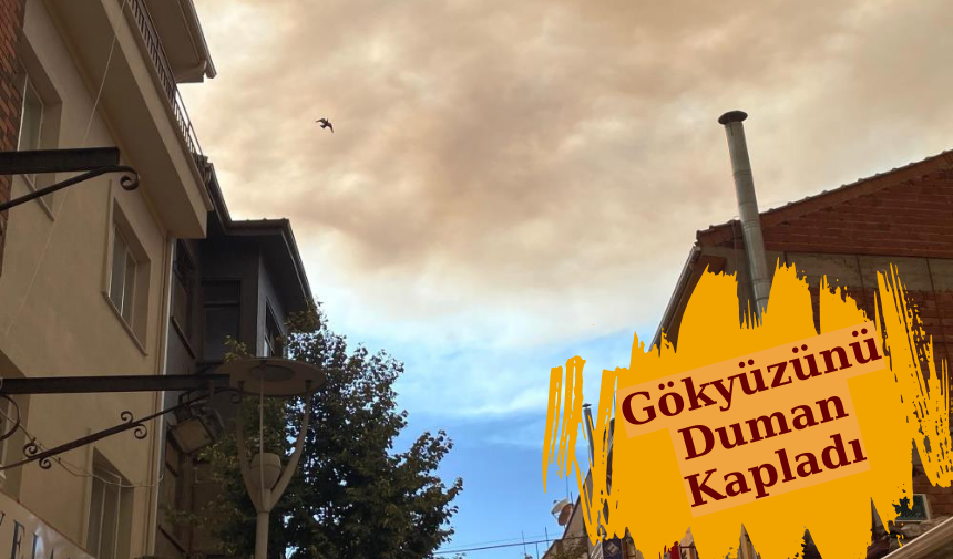 Orman yangınının dumanı Eskişehir'i kapladı