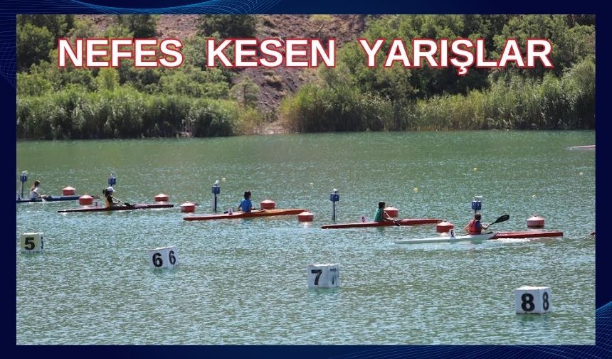 Şampiyona başladı