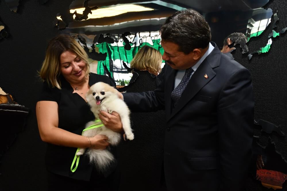 Şiddet gören köpeği zabıt kâtibi sahiplendi