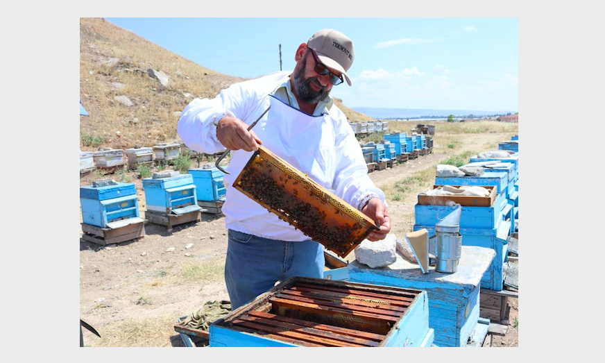 Bal üretiminde verim düştü