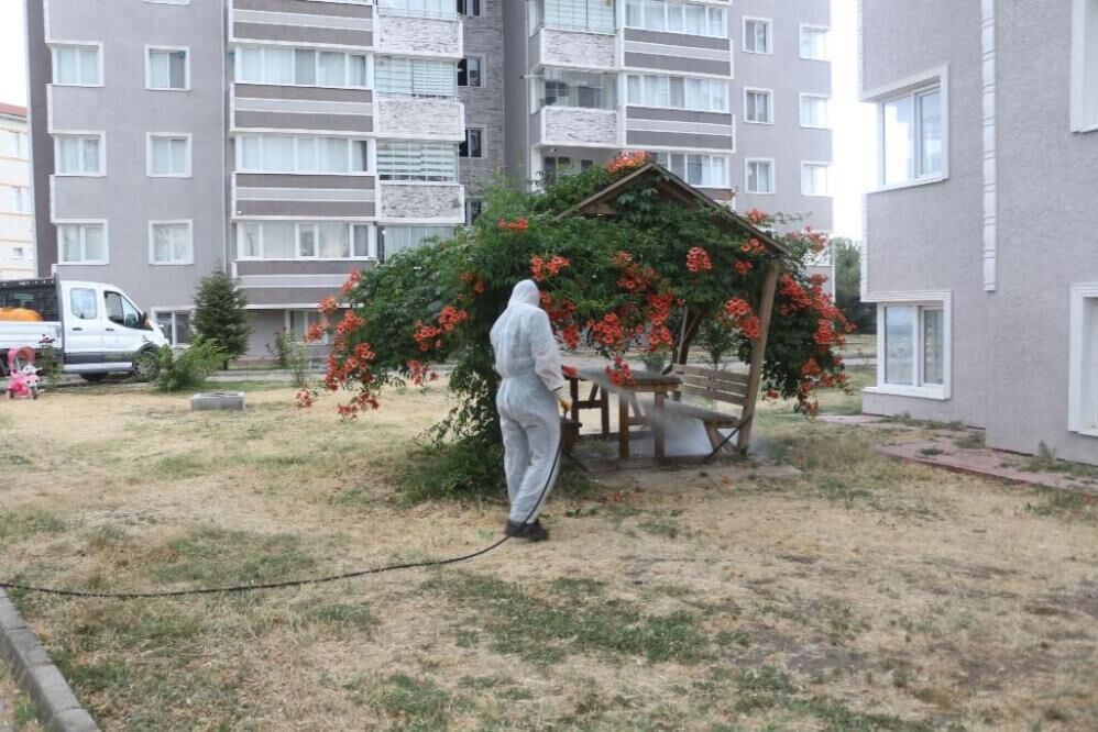 Haşerelerle mücadele başladı