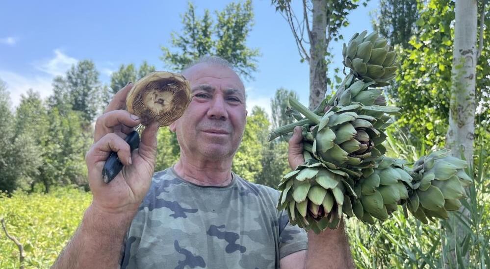 Enginarları yok satıyor