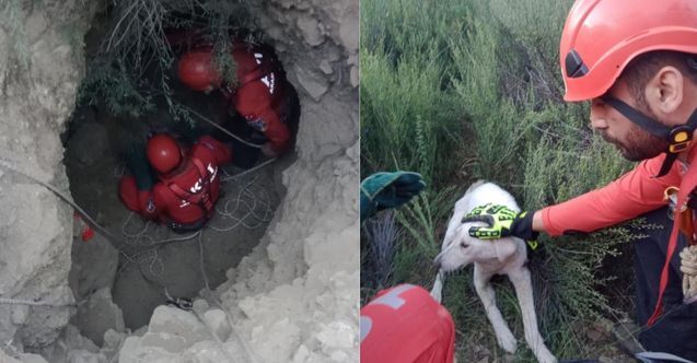 Kuyuya düşen köpeği AKUT ekipleri kurtardı