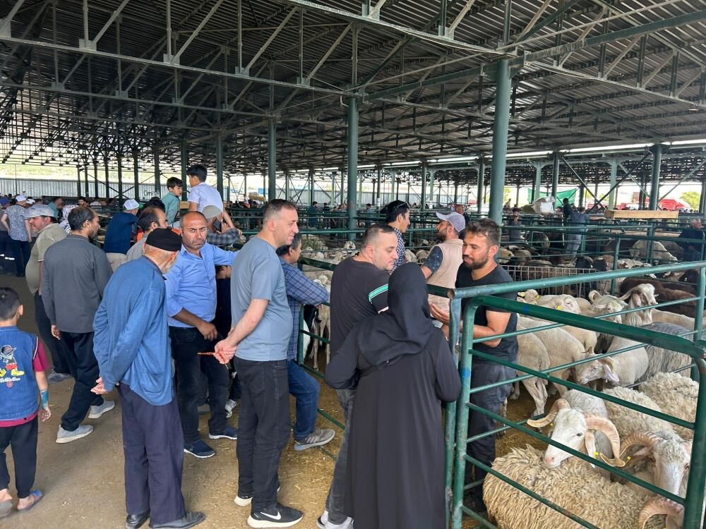 Arefe günü kurban pazarına akın