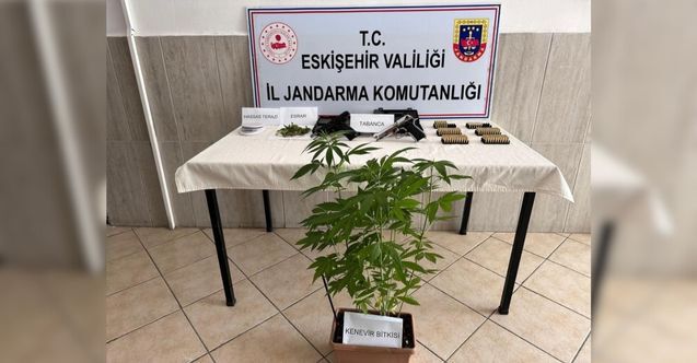 Evinde Kenevir Yetiştirdi