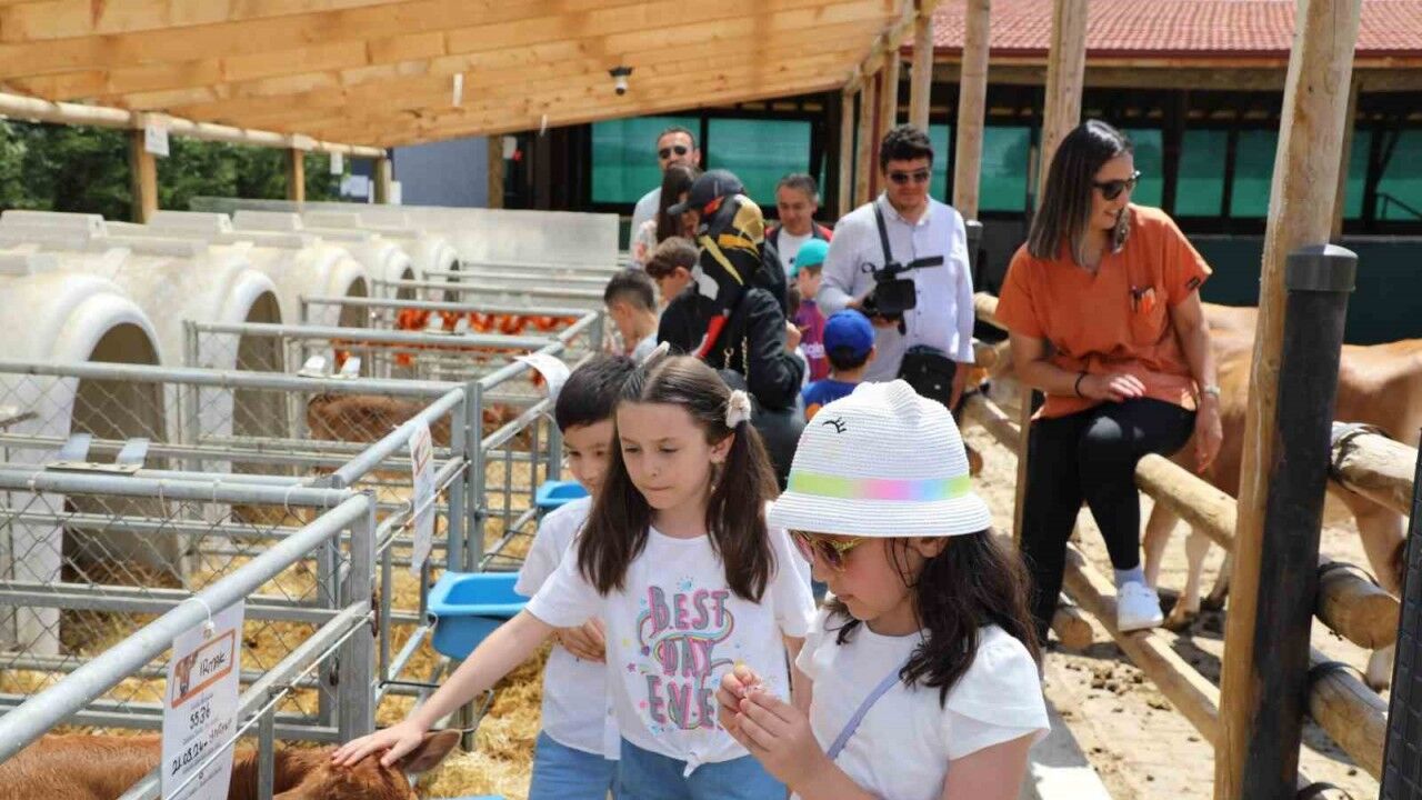 Dünya Süt Günü’nü coşkuyla kutlandılar