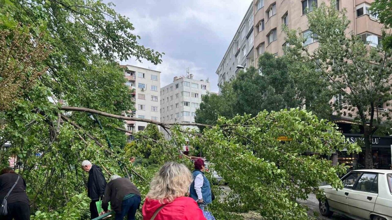 Devrilen ağaç yolu kapattı