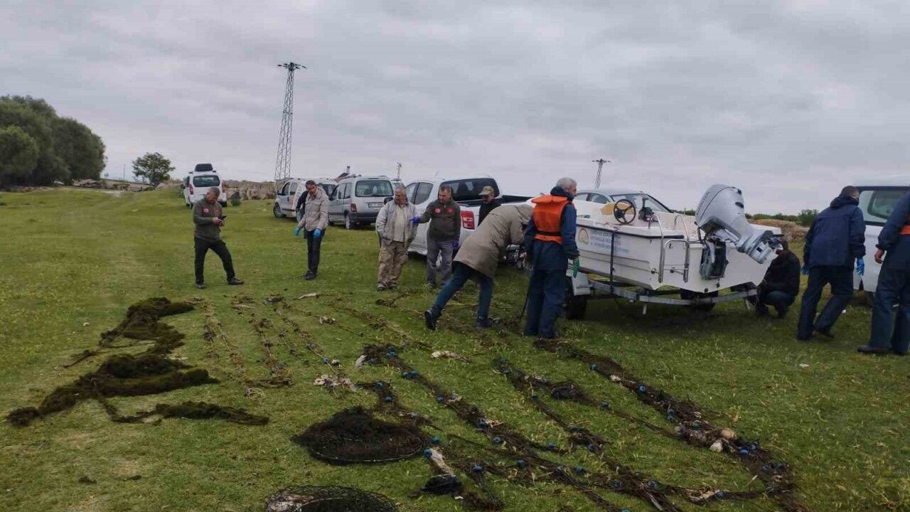 Bilinçsizce atılan ağlar onlarca canlının telef olmasına neden oldu