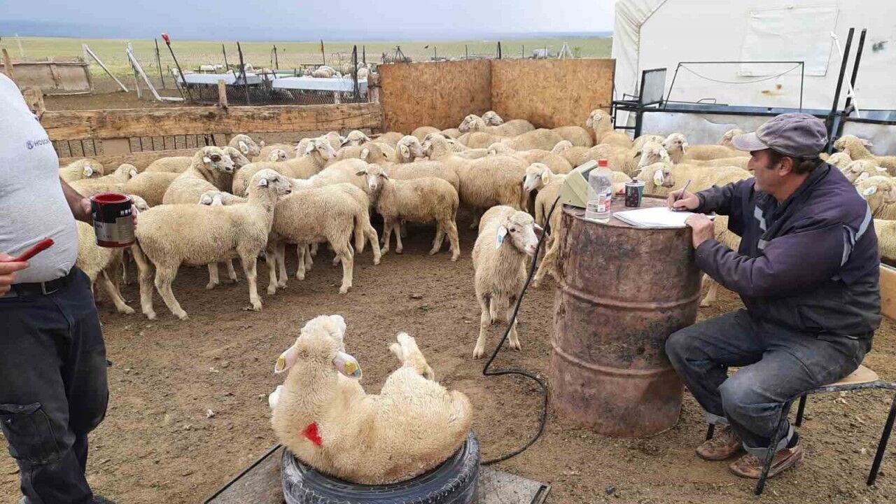 Halk elinde ıslah 18. yılında