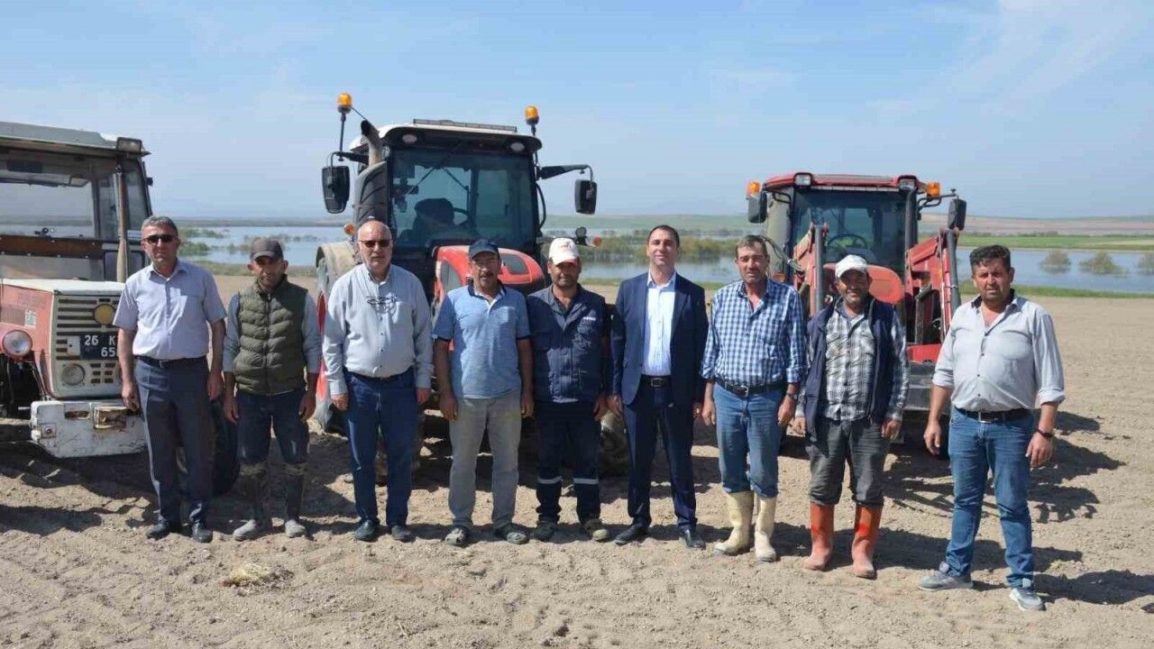Beylikova’da bin dekar alanda yağlık ayçiçeği ve darı mısır ekimine başlandı