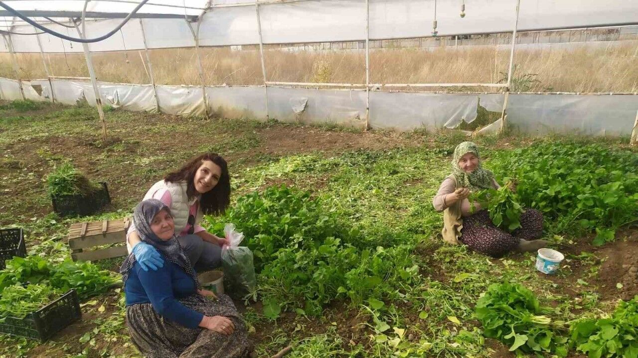 Eskişehir’de sağlıklı tarımsal üretim çalışmaları devam ediyor