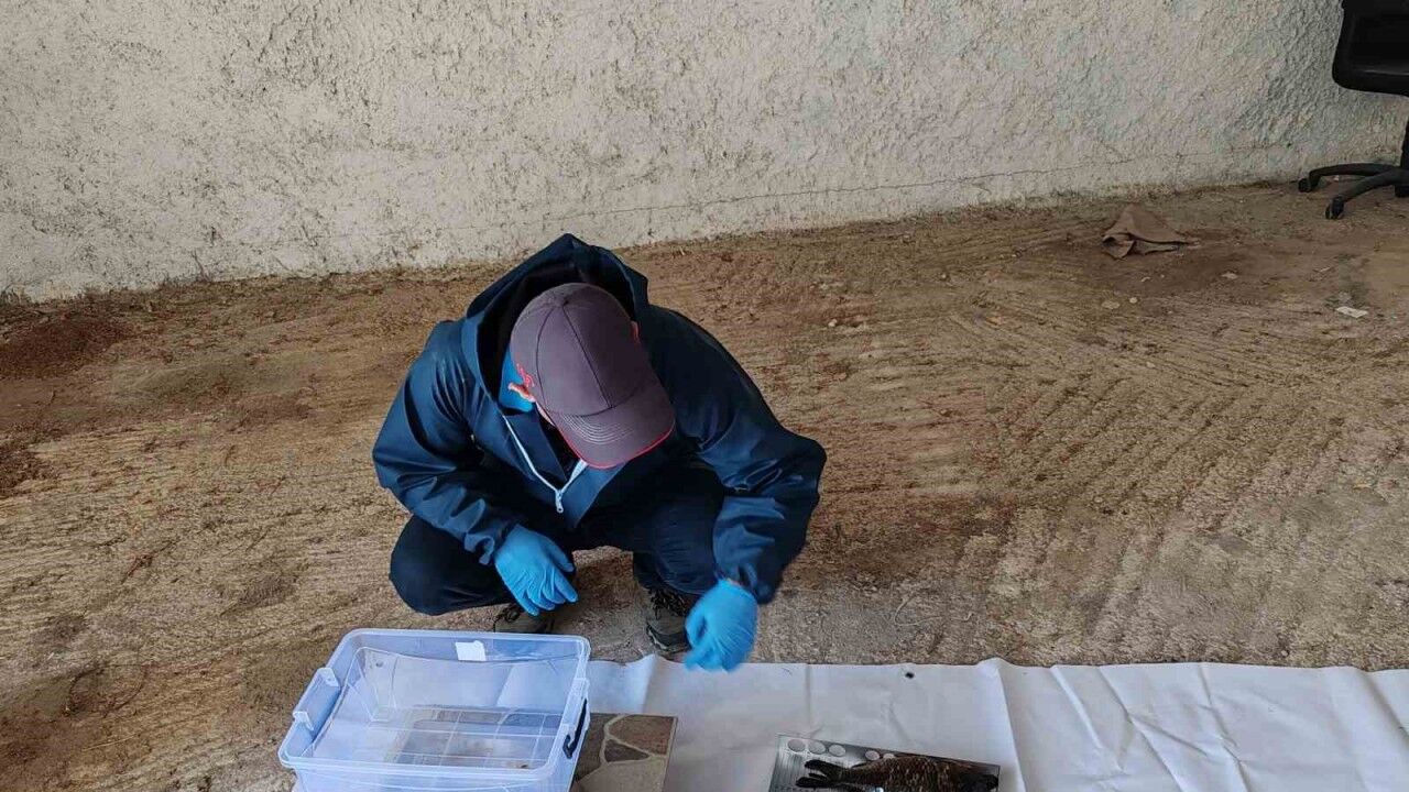 Bu proje ile istilacı balık türlerinin popülasyonu azaltılacak