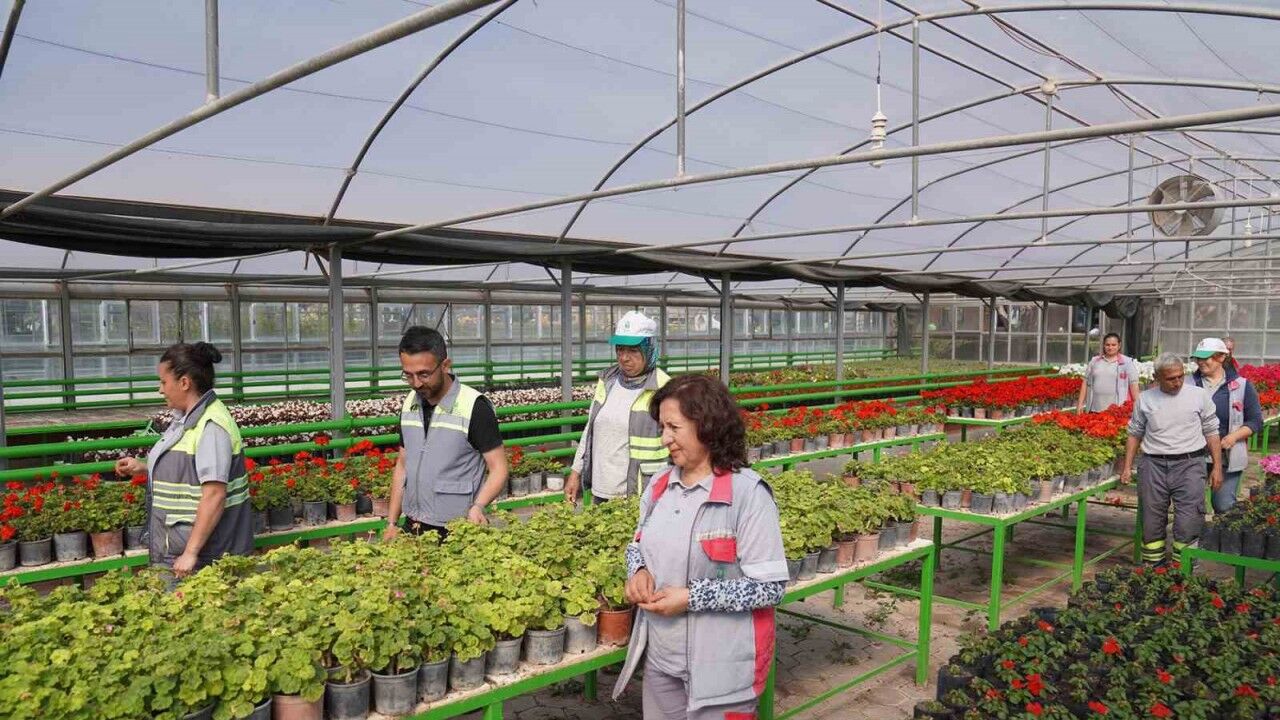 Bu seralarda üretilen rengârenk çiçekler Tepebaşı’nı süslüyor