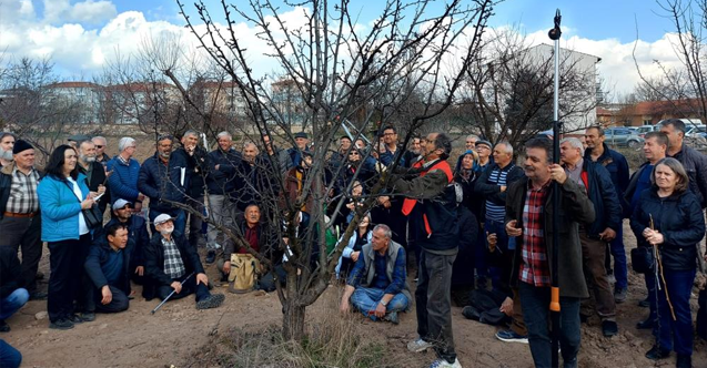 Eskişehir çiftçisine meyve ağaçlarında budama ve aşılama eğitimi
