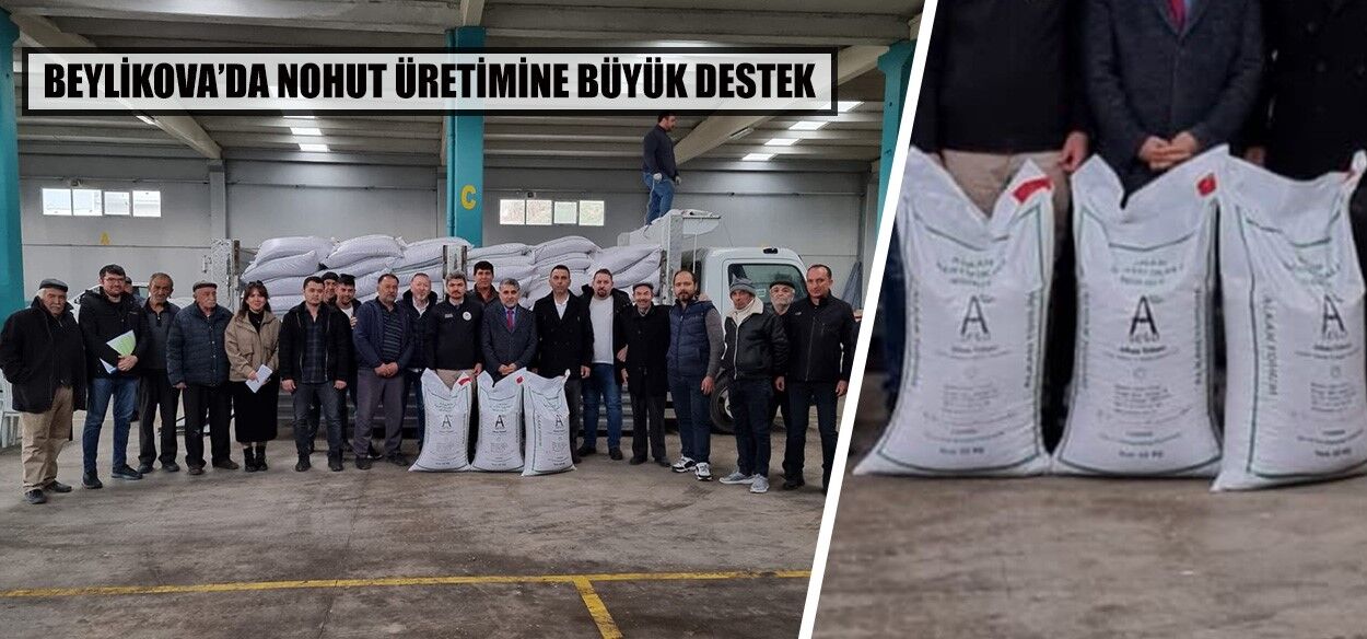 Beylikova’da nohut üretimine büyük destek