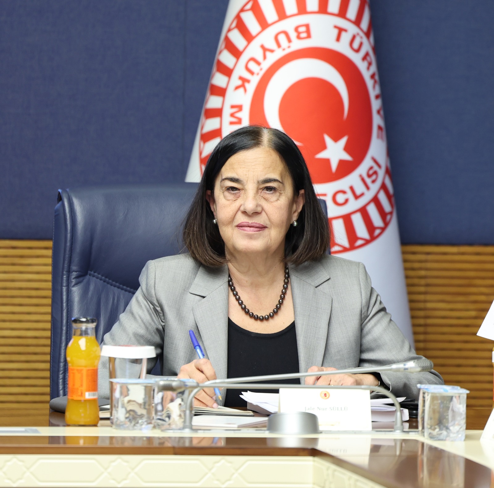 Milletvekili Jale Nur Süllü Kaynarca Barajı Projesini Meclis Gündemine Taşıdı (1)
