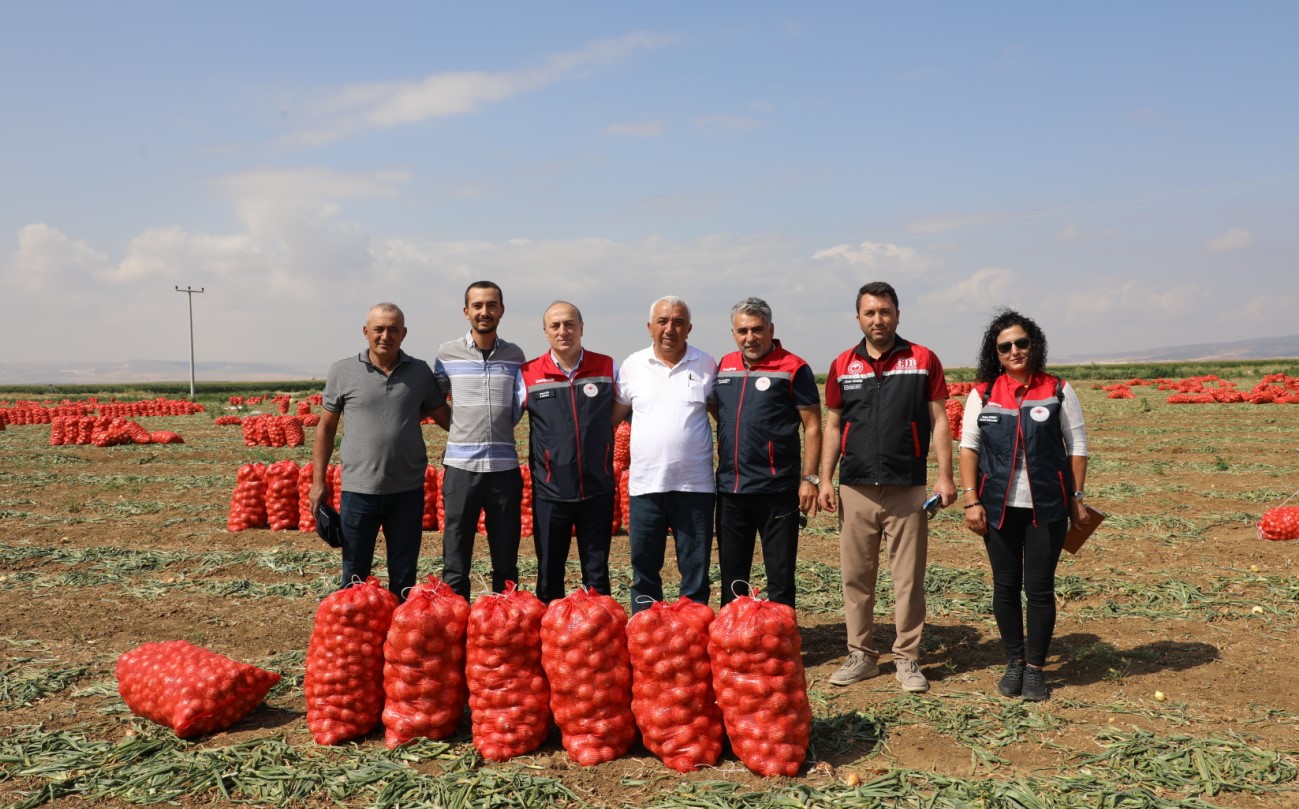 Eskişehir’de Erkenci Soğan Hasadı Başladı: Tarlada Rekolte Yüz Güldürdü