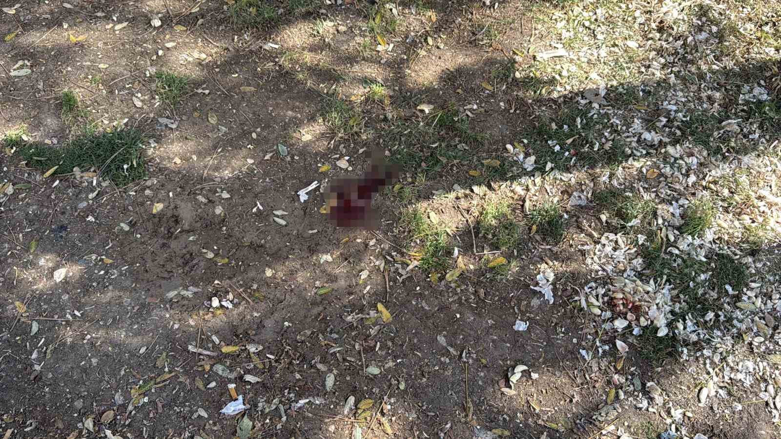Parkta bir kişiyi döner bıçağıyla yaralayan saldırgan yakalandı