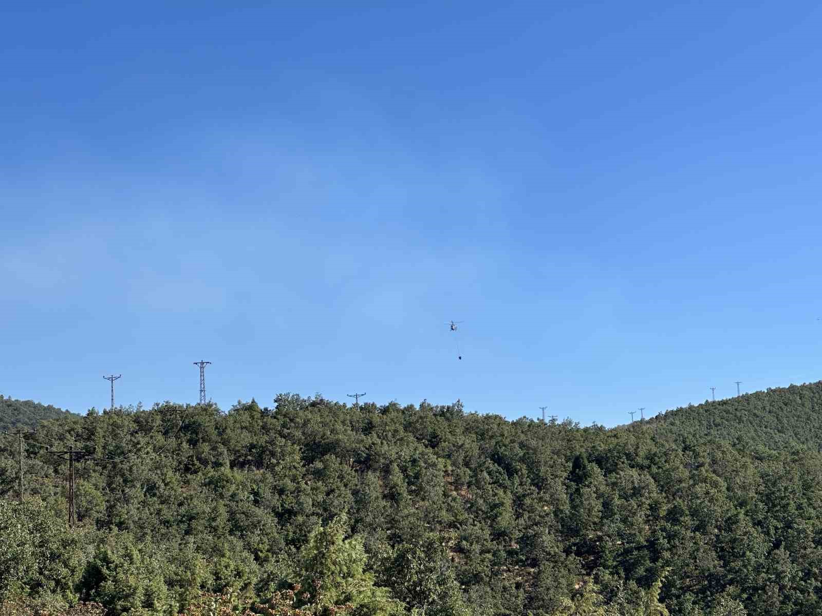 Uşak’ta meşelik alanda çıkan yangın kontrol altına alındı