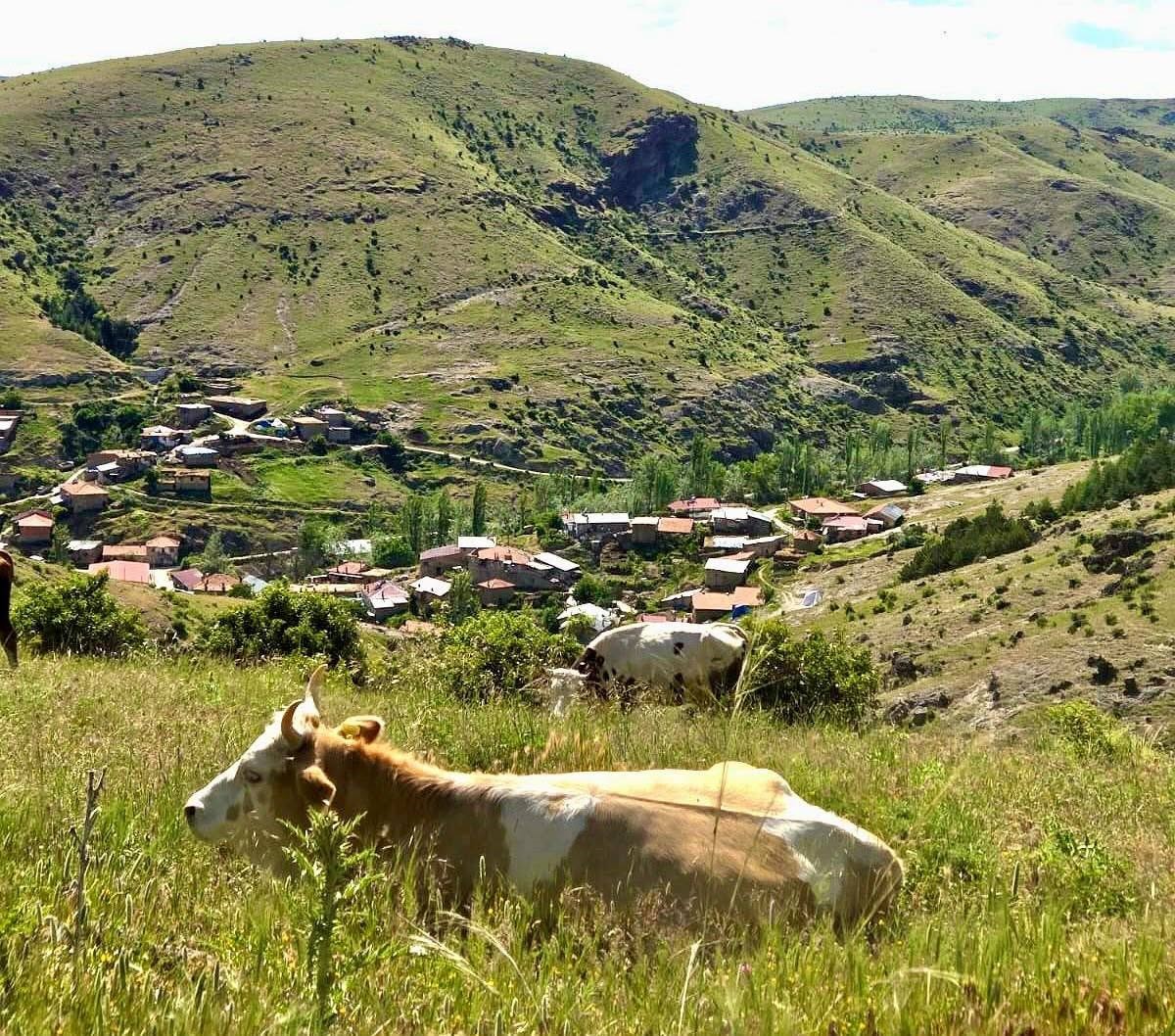 Kırsal dezavantajlı alanlara yönelik çalışmalar sürüyor