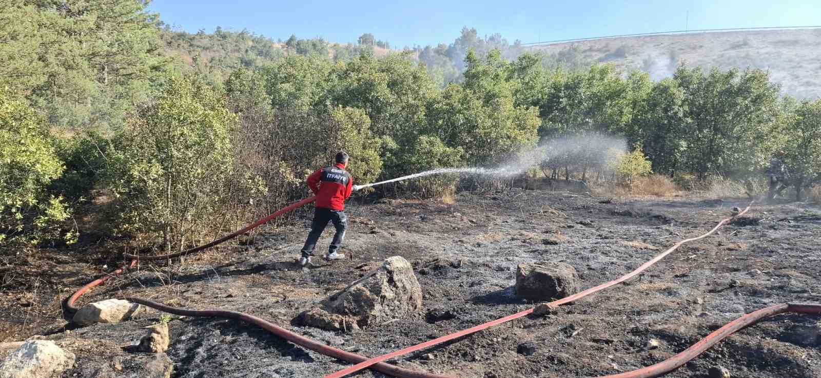 Emet’te dağlık alanda orman yangını
