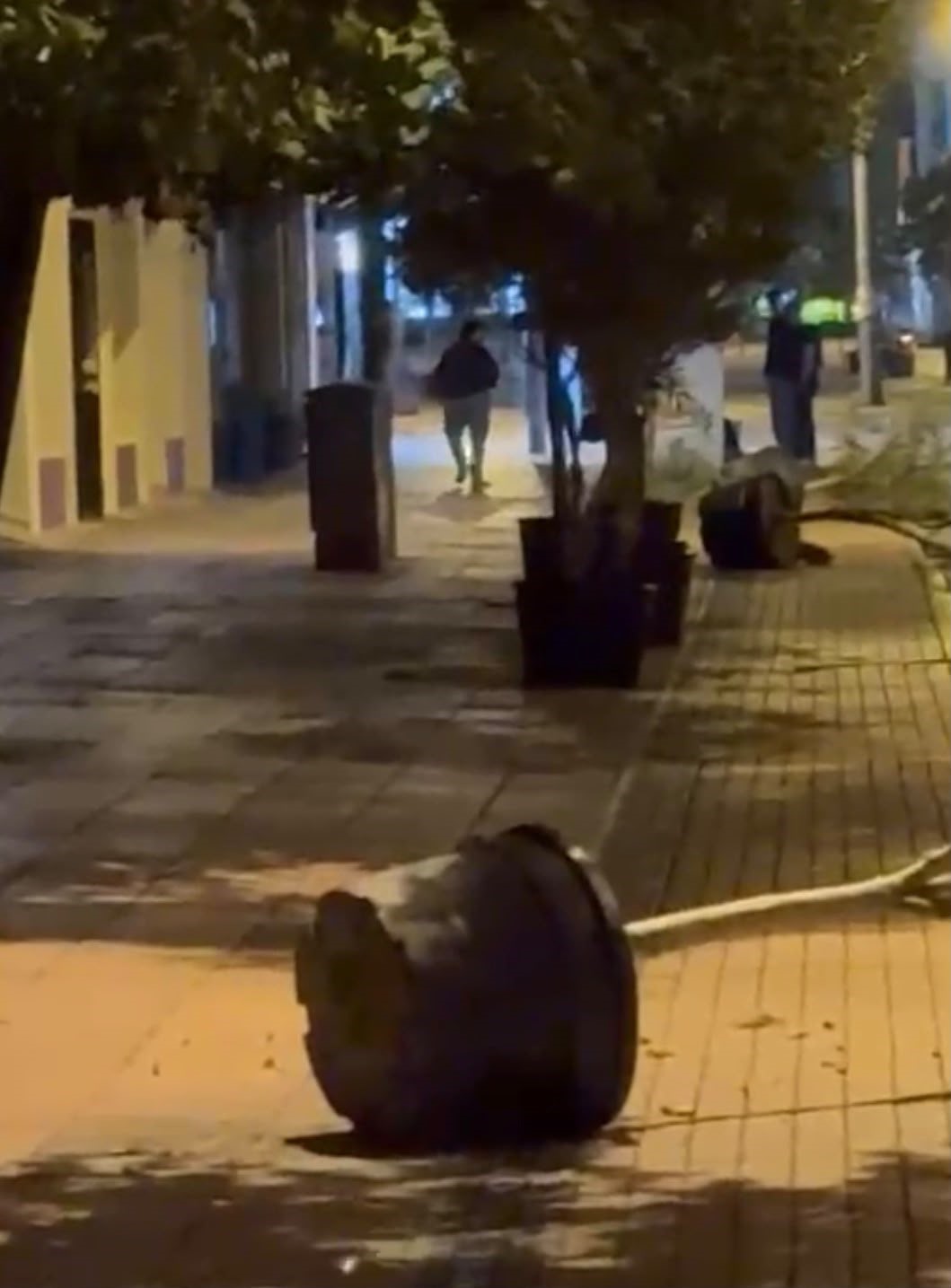 Yol kenarındaki saksıları devirerek yürüdü