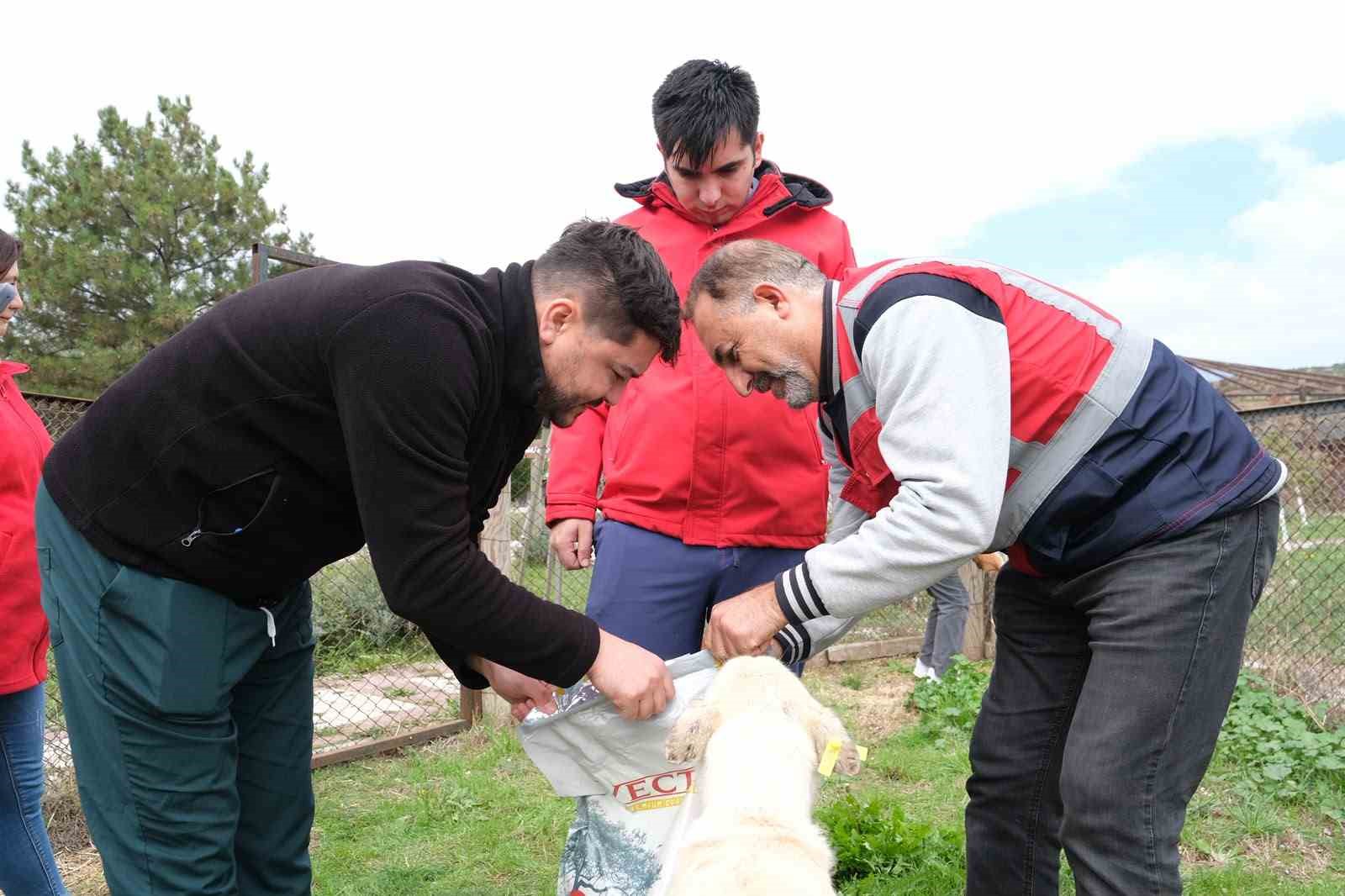 Kütahya’da sahipsiz hayvanlara mama desteği