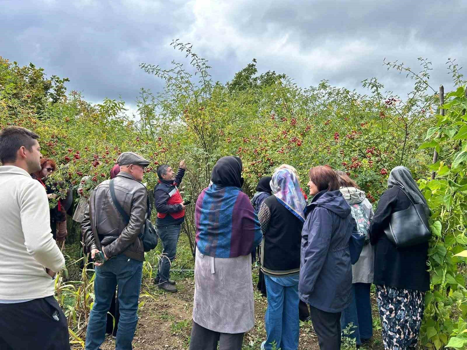 Eskişehirli kadın çiftçiler Kütahya’da üretim alanlarını inceledi