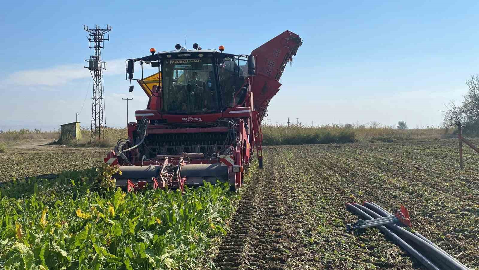 Alpu Kaymakamı Sönmezel şeker pancarı hasadına katıldı