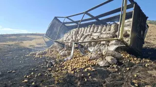 Kamyonda başlayan yangın 100 hektarlık alana zarar verdi