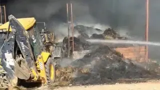Eskişehir’de çiftlikte çıkan yangında 25 küçükbaş hayvan telef oldu