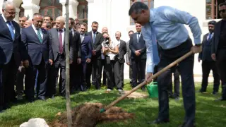 Bakanı Çiftçi, adını taşıyan çınar fidanını dikerek can suyu verdi