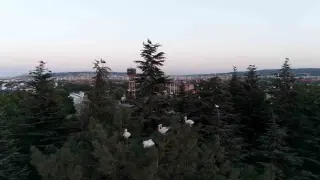 Göç yolculuğuna mola veren leylekler dron ile görüntülendi