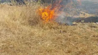 Şuhut’ta bir günde 5 ayrı noktada arazi yangını