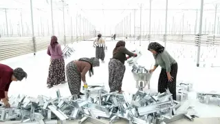 Kadınlar çalışacakları serayı kendileri yapmaya başladı