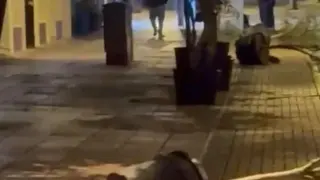 Yol kenarındaki saksıları devirerek yürüdü
