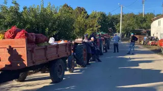 Sabahın ilk ışıklarında traktörleriyle uzun kuyruk oluşturuyorlar