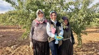 Meyve bahçelerinde ürün verimliliği için kontroller sürüyor