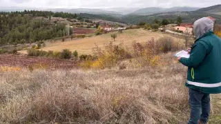 Tavşanlı’da ürün beyanları sahada denetleniyor