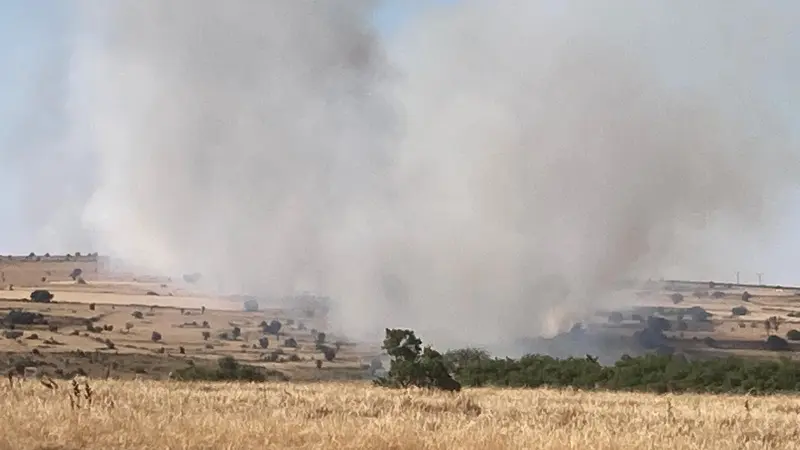 Seyitgazi Belediye Başkanı'ndan acil yardım çağrısı